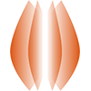 BAC