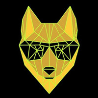 Dingo Token